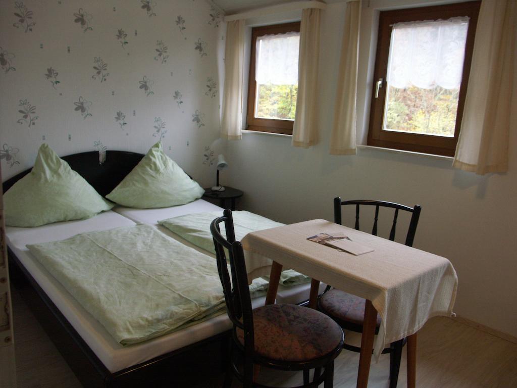 Waldpension Zum Felsenkeller Lichtenfels-Sachsenberg Buitenkant foto