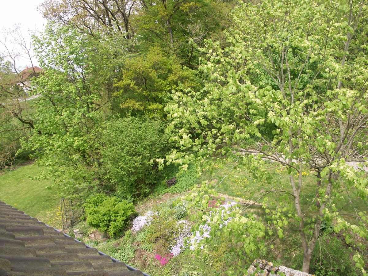 Waldpension Zum Felsenkeller Lichtenfels-Sachsenberg Buitenkant foto